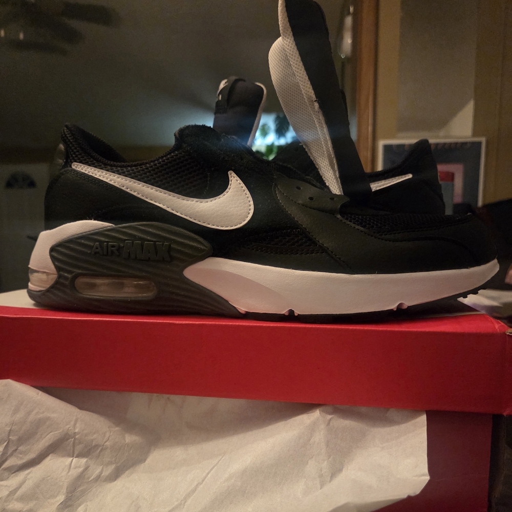 Nike Air Max Black and White Men's Shoes
